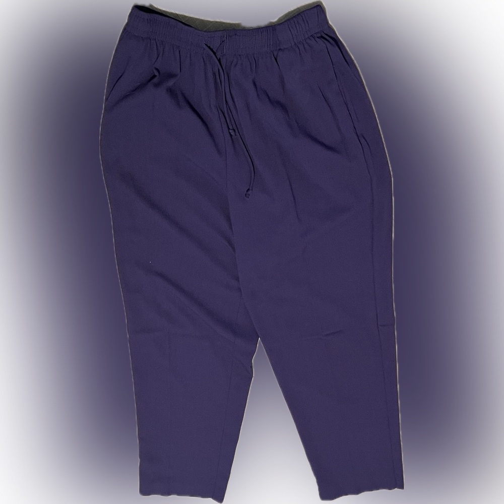 🔴Alfred Dunner Purple Women's Pants Trousers Slacks Elastic Waist 16